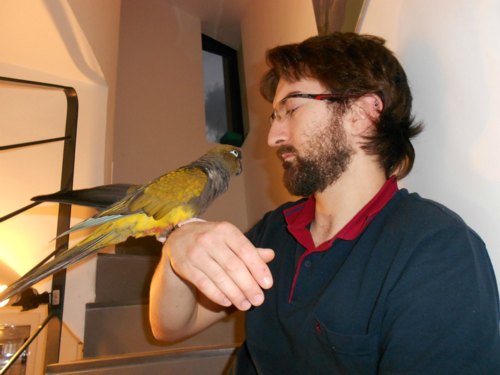 Marco Di Giuseppe, veterinario aviario a Palermo