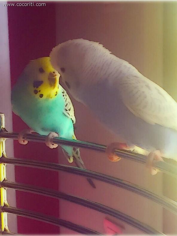 L’amore ❤️