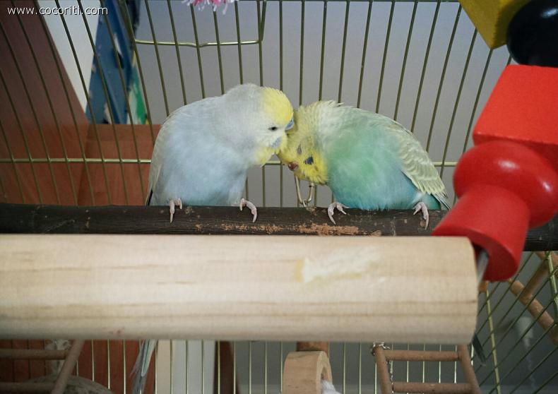 Tante coccole per Nadia β€