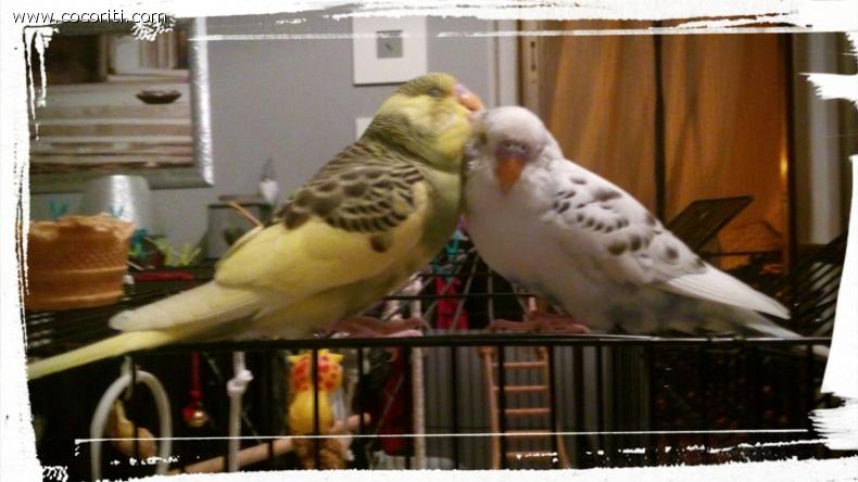 Charlie & Jago