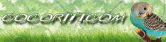 Banner 234x60 - Cocoriti.com