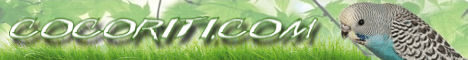 Banner 468x60 - Cocoriti.com