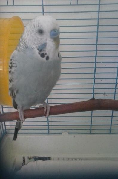Sidney "Sid"