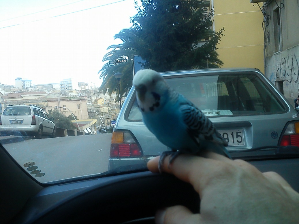 ecco i miei amorini:)
