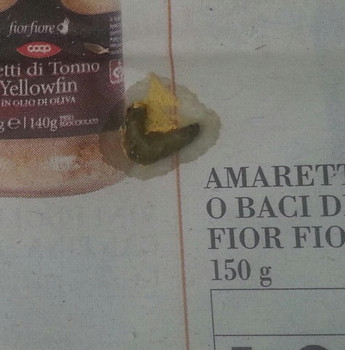 Problema con la mia coco
femmina