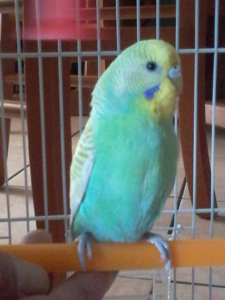 Un nuovo amico :)