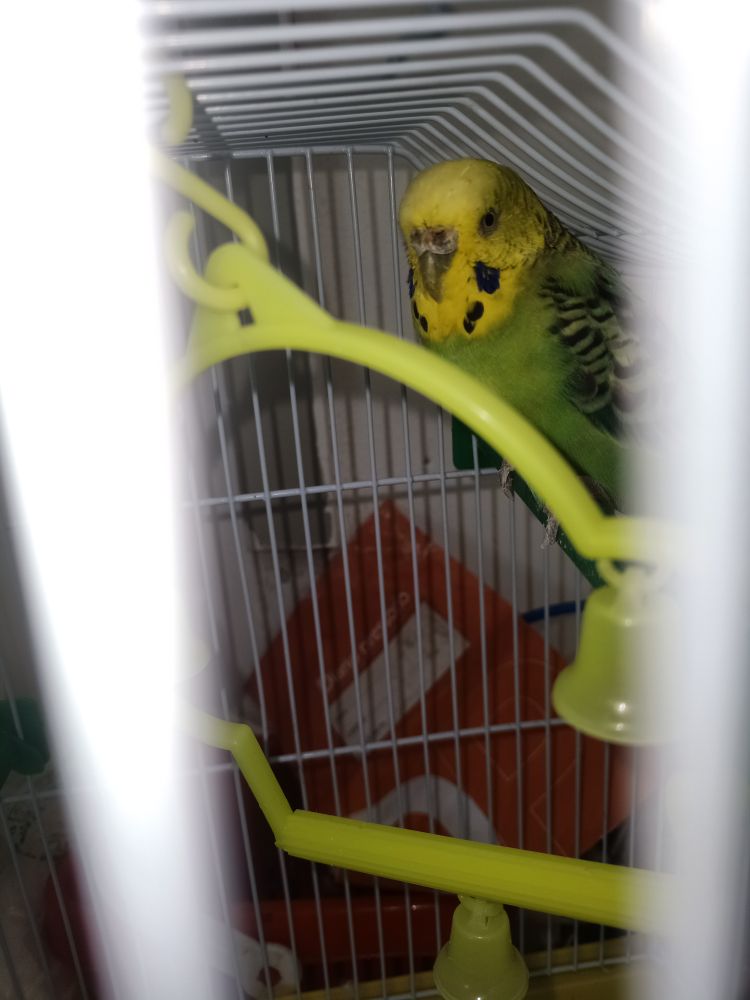 Sesso Coco :)