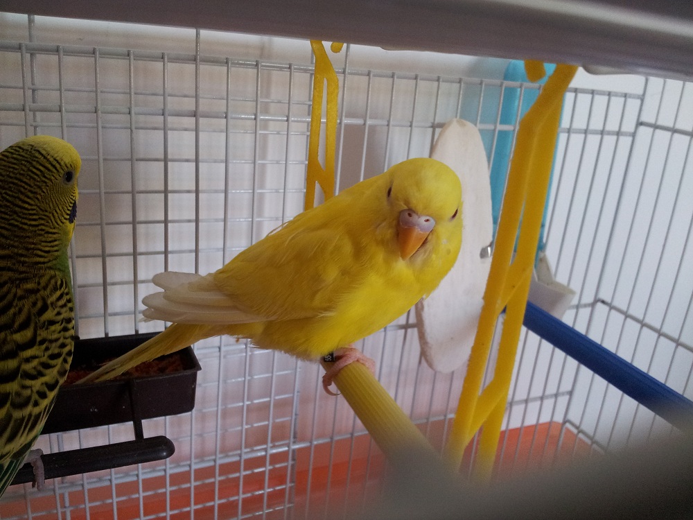 M o F???