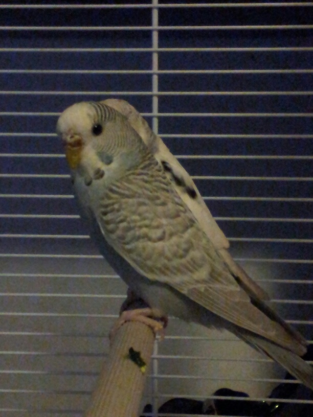 picco ormonale