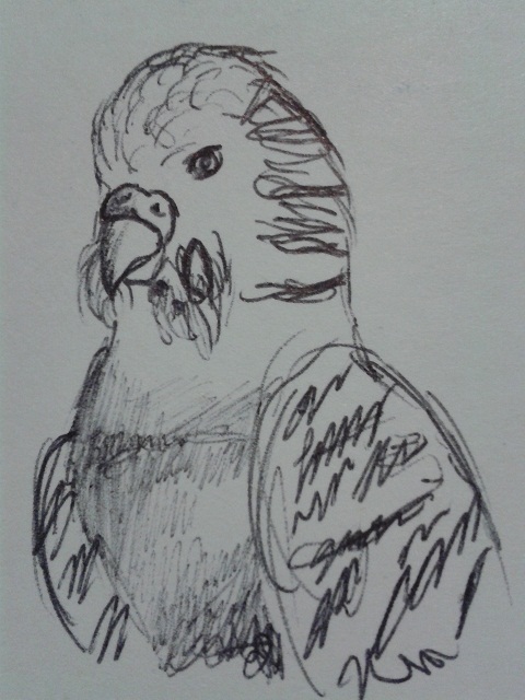 my art gallery