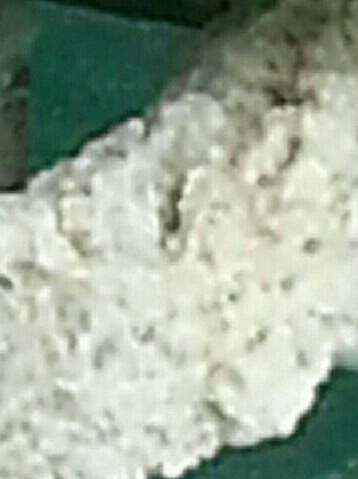 zampe cocorito