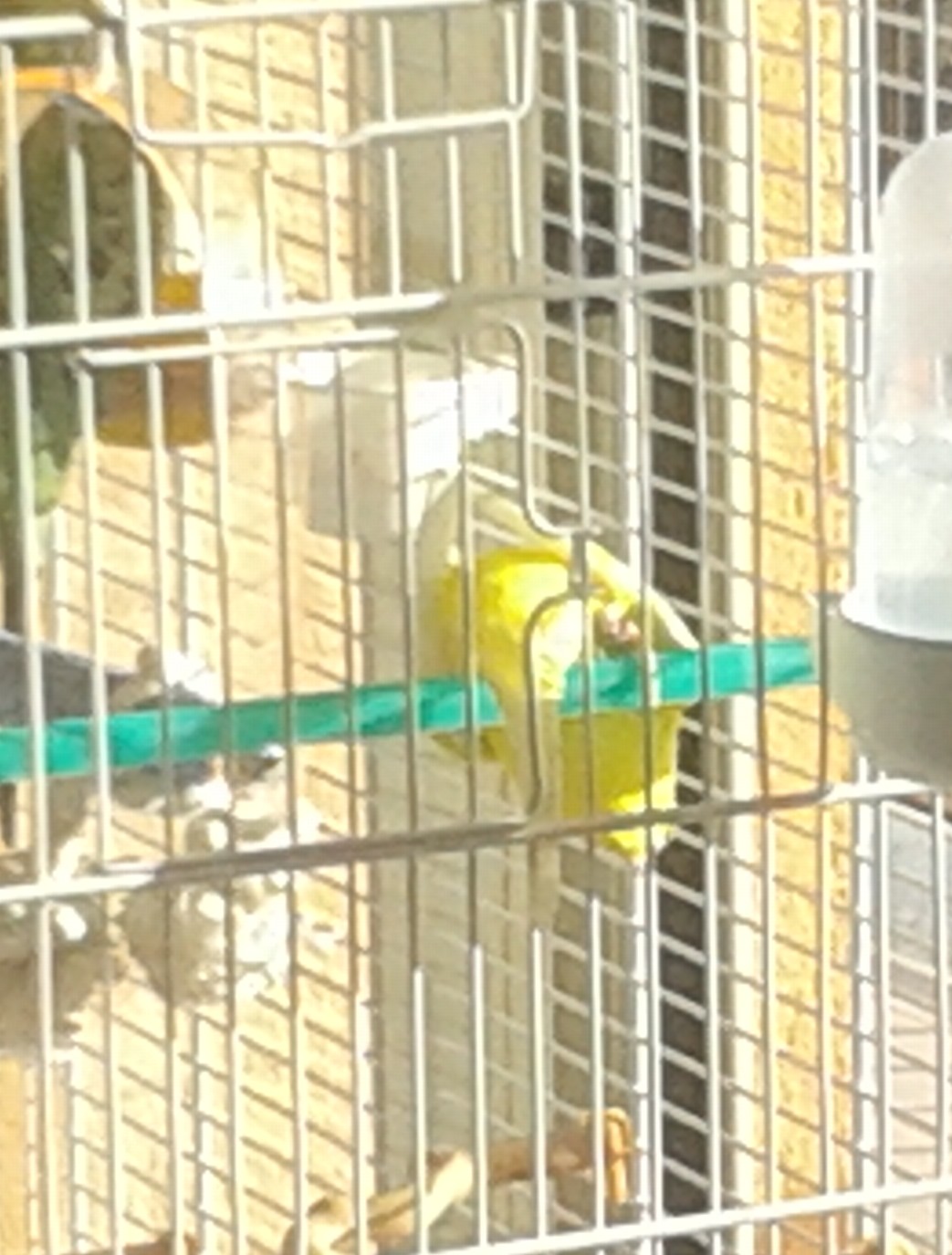 si sporge in basso