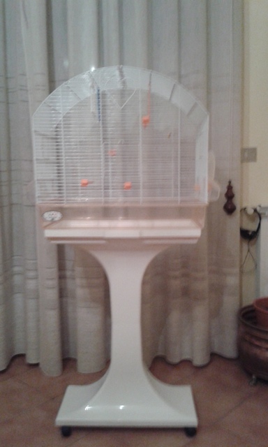 gabbietta per cocorite