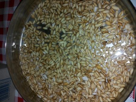 avena cous cous e carote