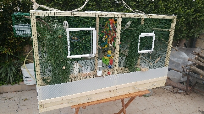 Allestimento gabbia