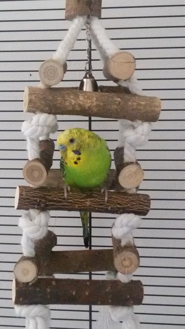 Mutazione ed età 