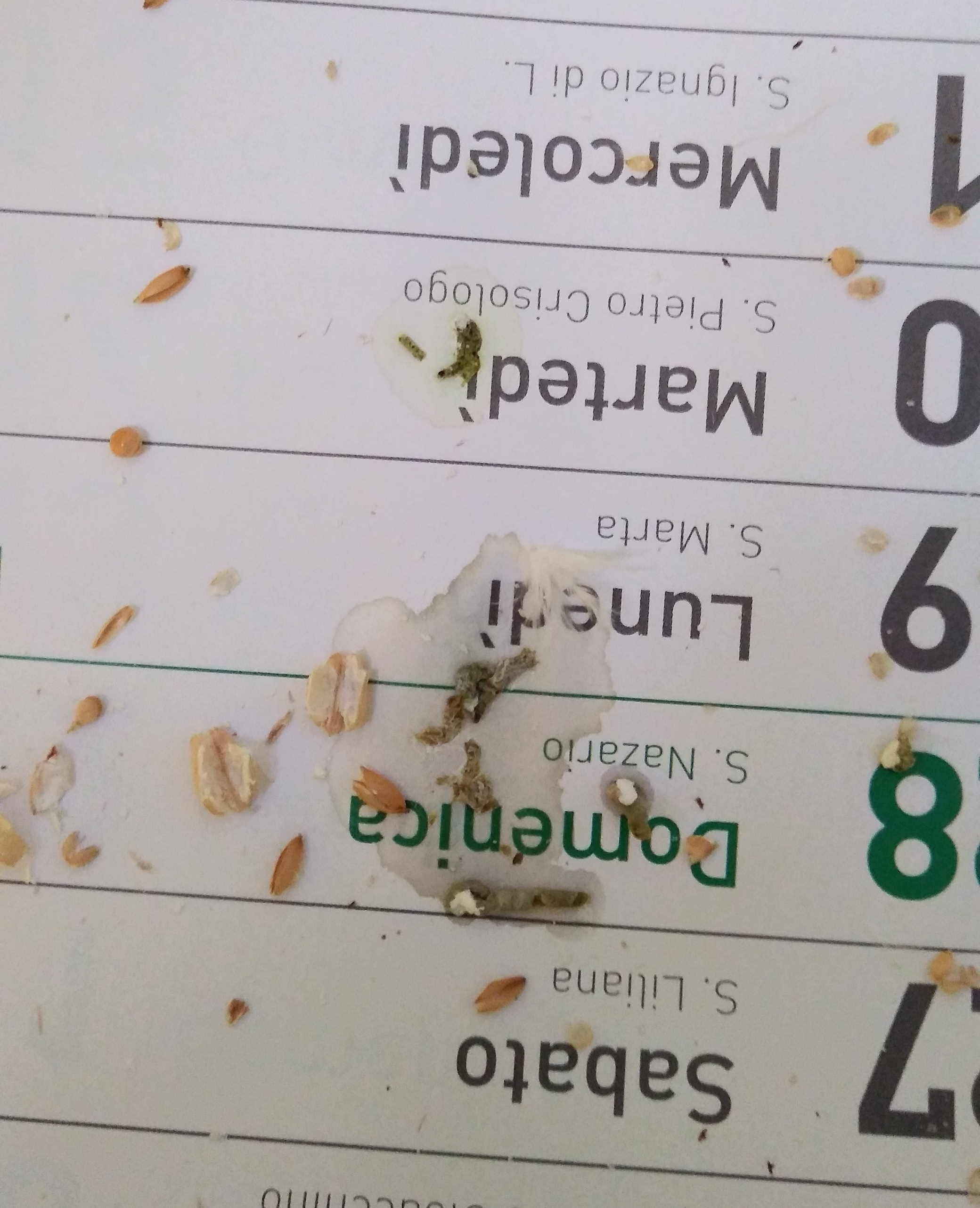 Feci liquide o tanta
urina?