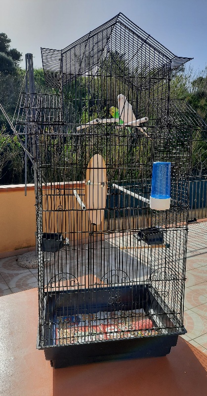 Femmina o maschio?