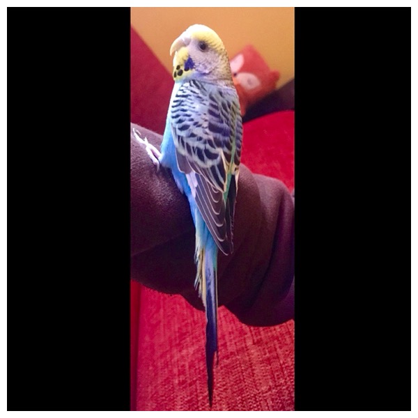 Prima coco.. dubbi...