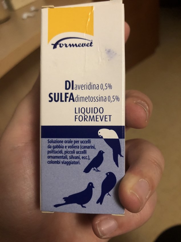 Coco sonnolento