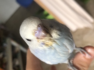 M o F?