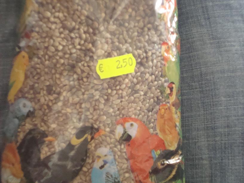 Avena ?