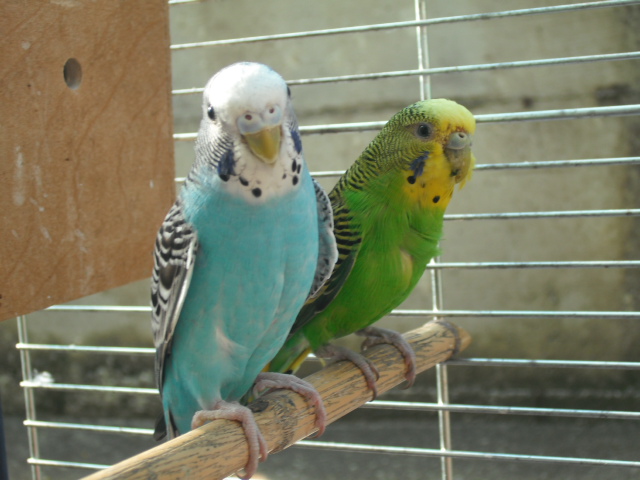 Ecco le foto pià¹ nitide