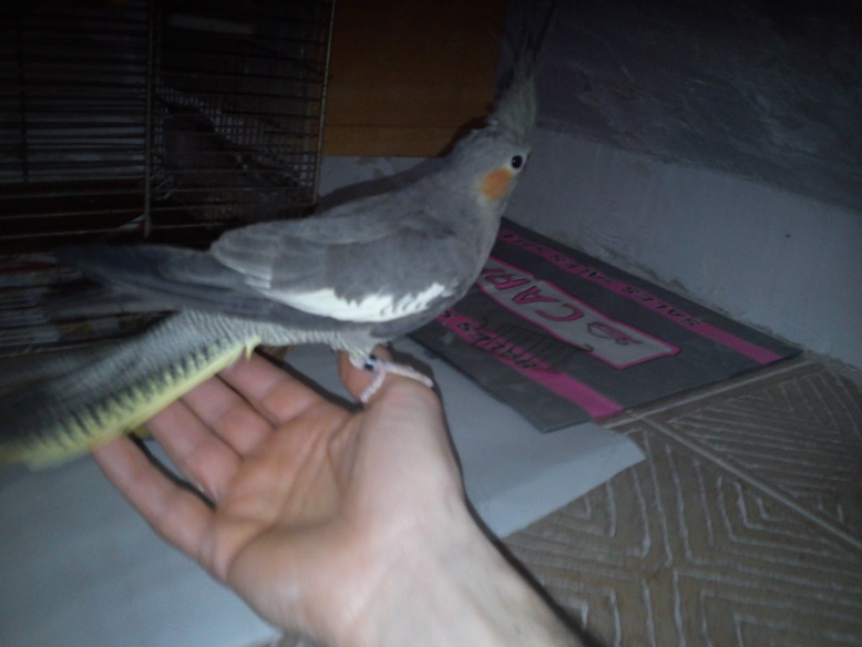 ecco i miei amorini:)