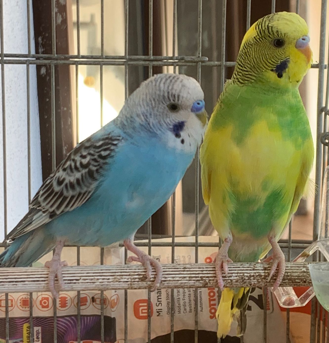 PRIMO APPROCCIO
