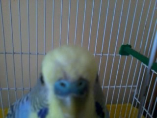 mi devo preoccupare??=(