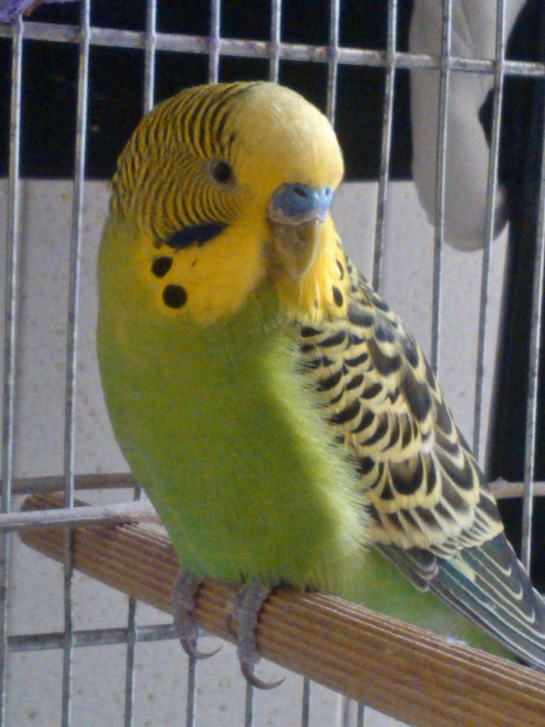 Jack e Chiara2