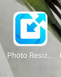 Come ridimensionare le...