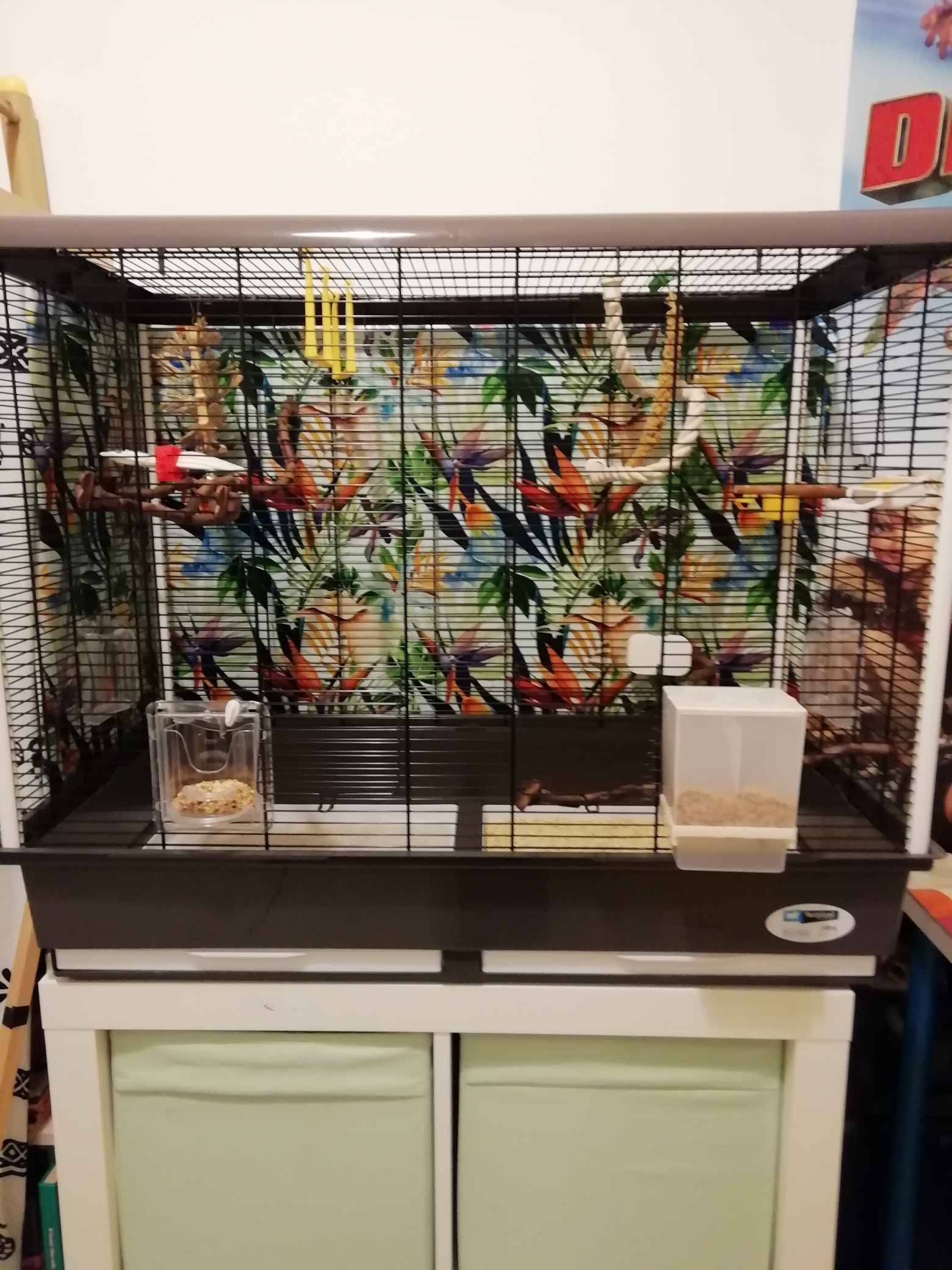 NIDO=GUERRA???