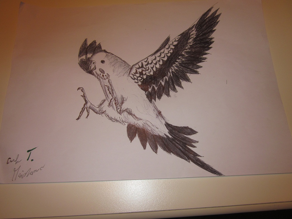 my art gallery