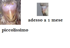 AIUTO...