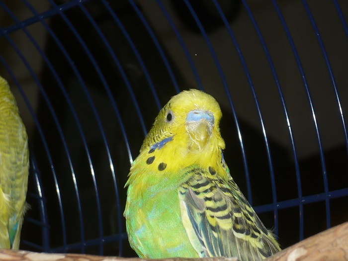 sono una coppia vero ??