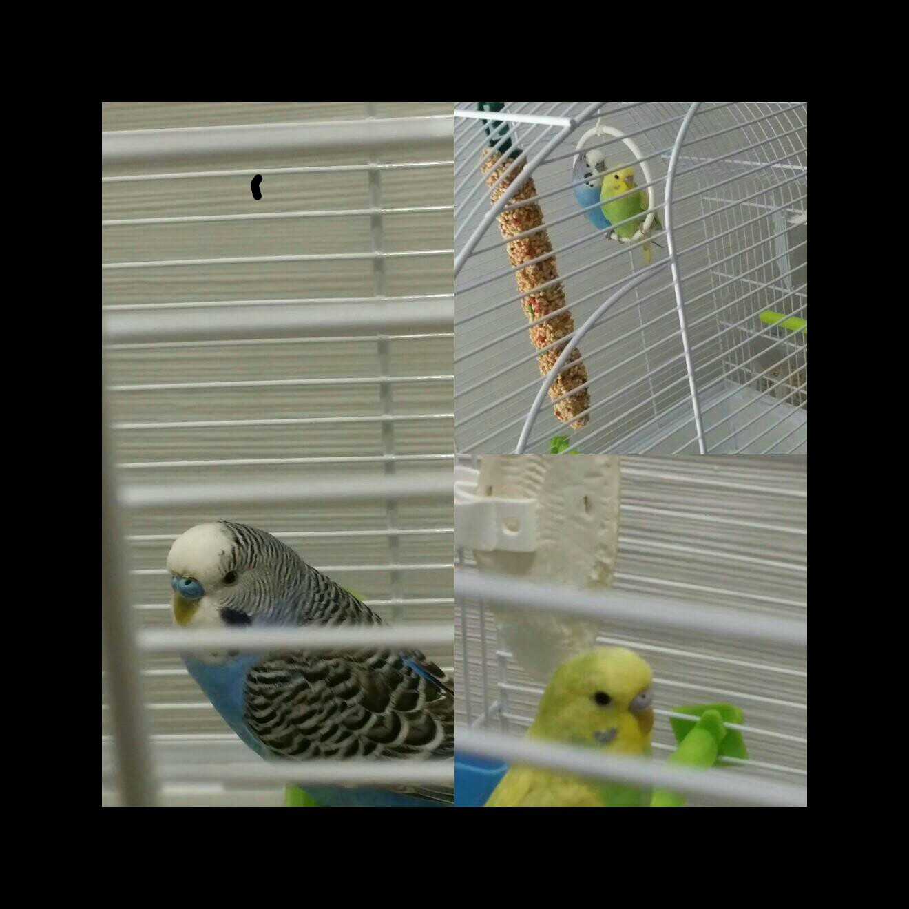 Come faccio a capire
l...