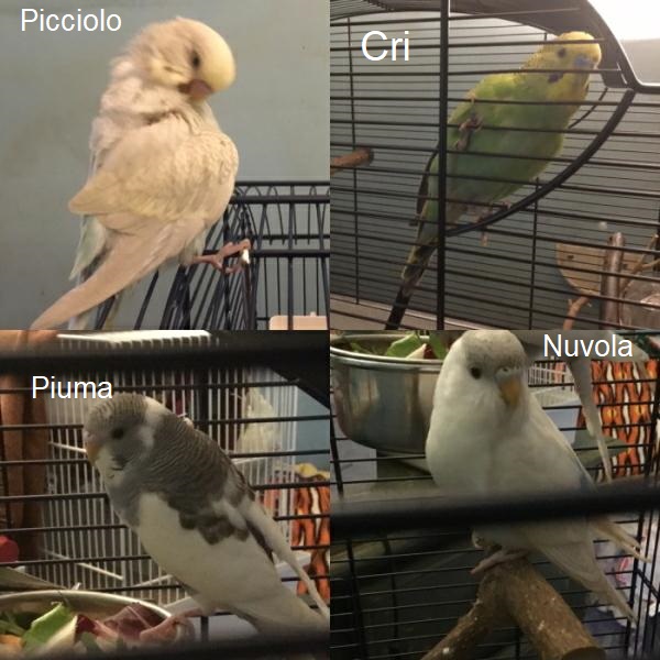 Nuvola e Piuma