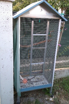 gabbia per 3 cocorite