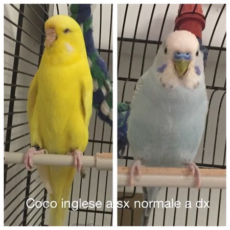 Differenza tra...