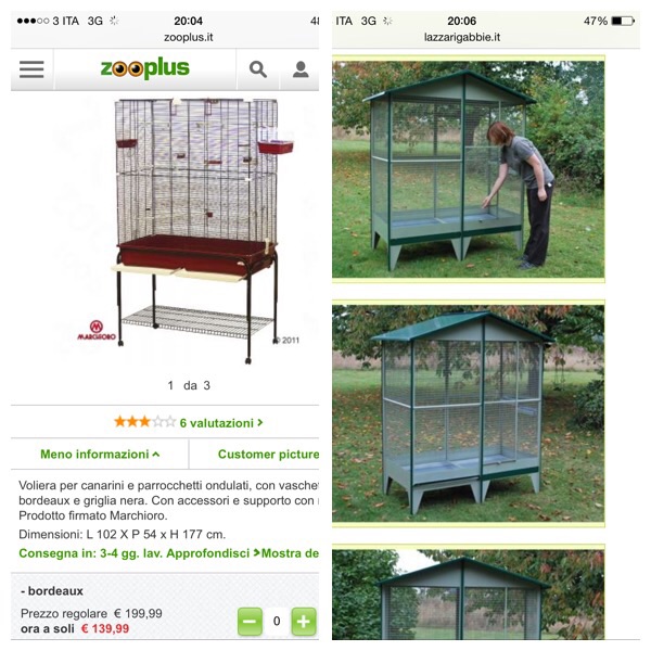 Gabbia per pappagalli