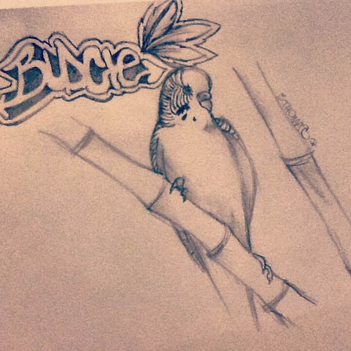 Un disegno per voi