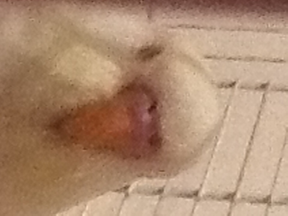 Che sesso e?