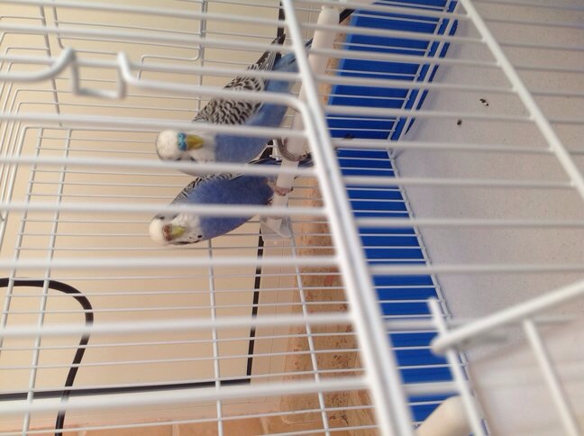 La mia coppia :)