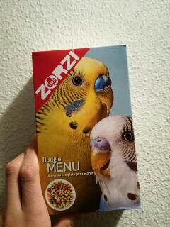 Mangime zorzi