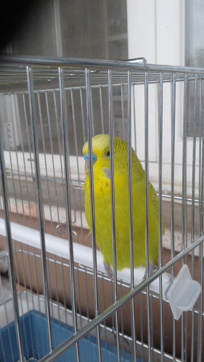 rumori anomali