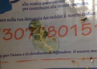 tolto il nido,...