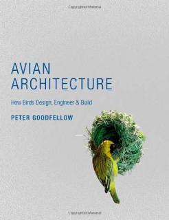 Avian Architecture: How Birds Design, Engineer & Build - Peter Goodfellow