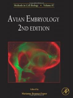 Avian Embryology - Marianne Bronner-Fraser