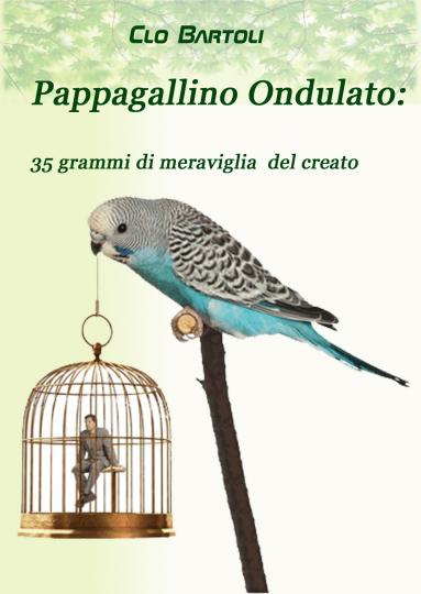 Pappagallino Ondulato: 35 grammi di meraviglia del Creato